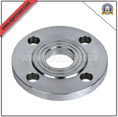  DIN Stainless Steel Slip on Flange (YZF-F116)