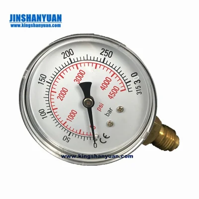 Deluxe Brass Tire Pressure Gauge Rotating Hose Psi