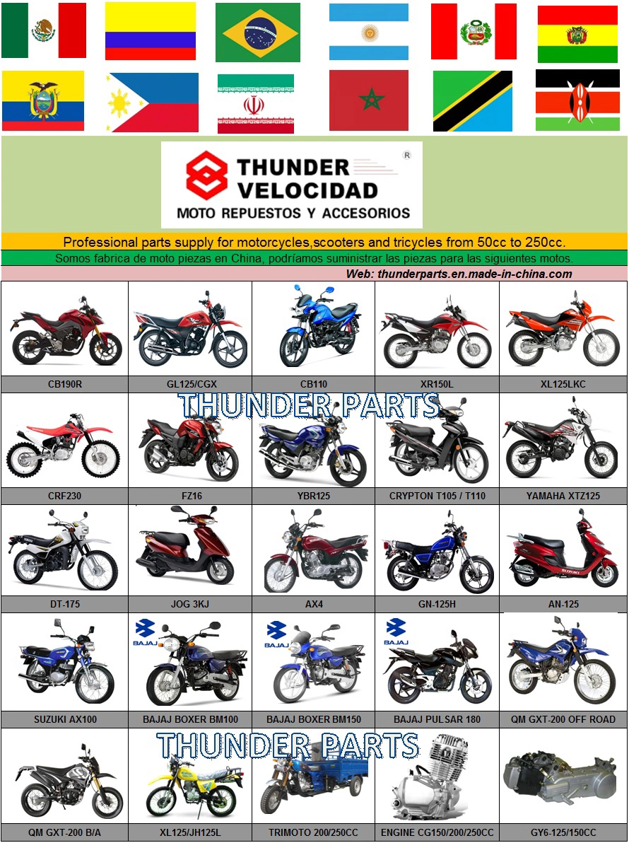 Motorcycle Parts Turning Light/Winker/Faro Grifo/Pidevias Xr, XLR, Crypton T105 T110, Ybr125, Fz16, Xtz125