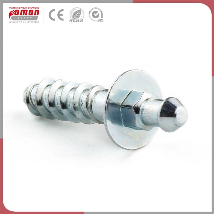 Customized Round Head Brass Screw Stud Stainless Steel Bolts Nuts