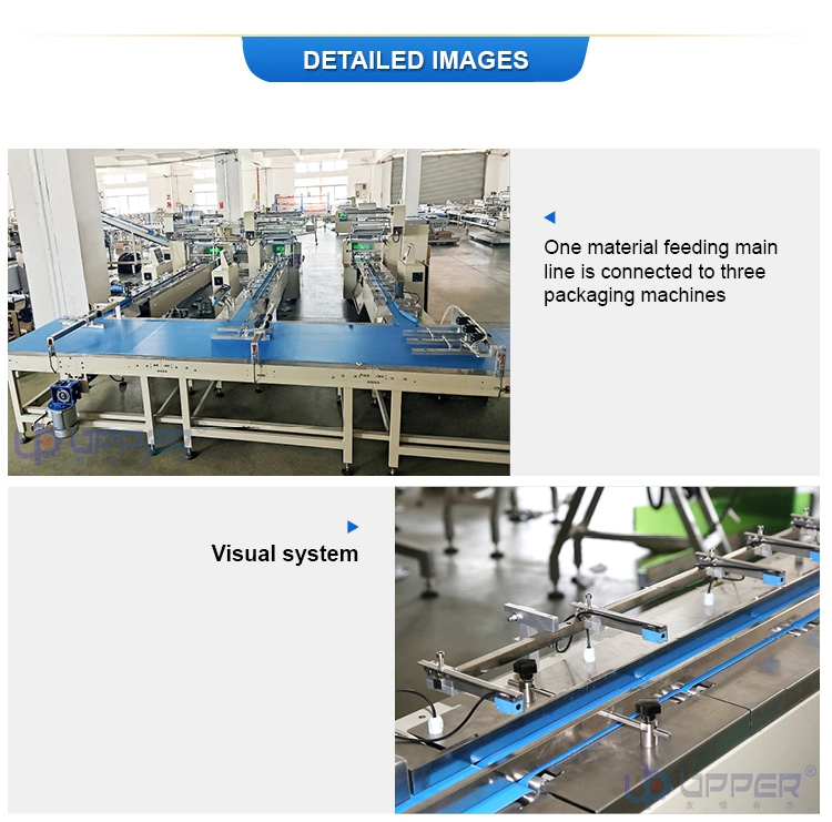 Automatic Wafer Chocolate Small Cup Cake Packaging Machines Energy Bar Whirl Biscuit Cookie Bread Egg Roll Pillow Type up Film Packing Machine Production Line