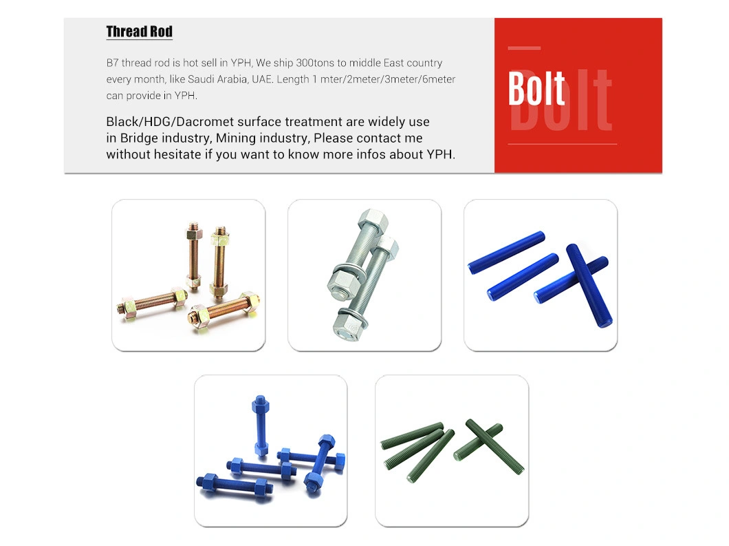 Stainless Steel B7 Stud Bolt and 2h Heavy Hex Nut
