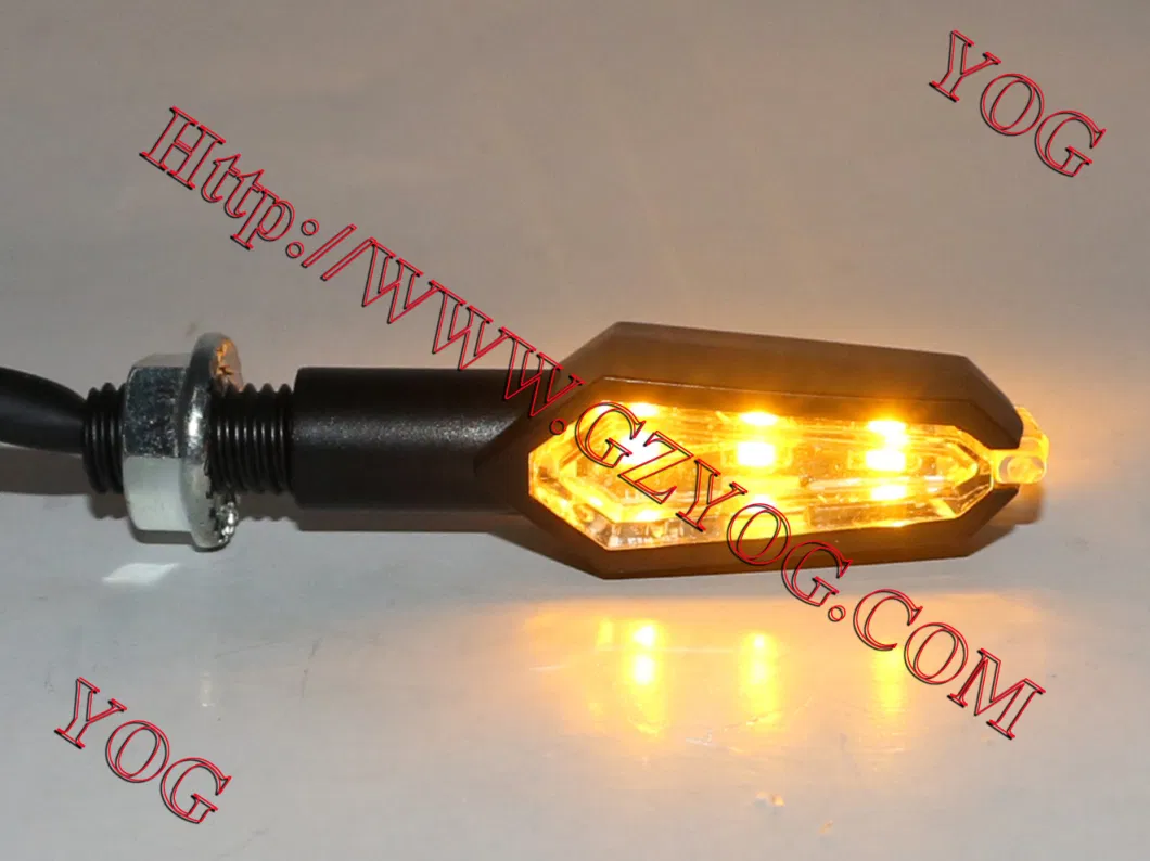 Motorcycle Part Winker Set LED Light