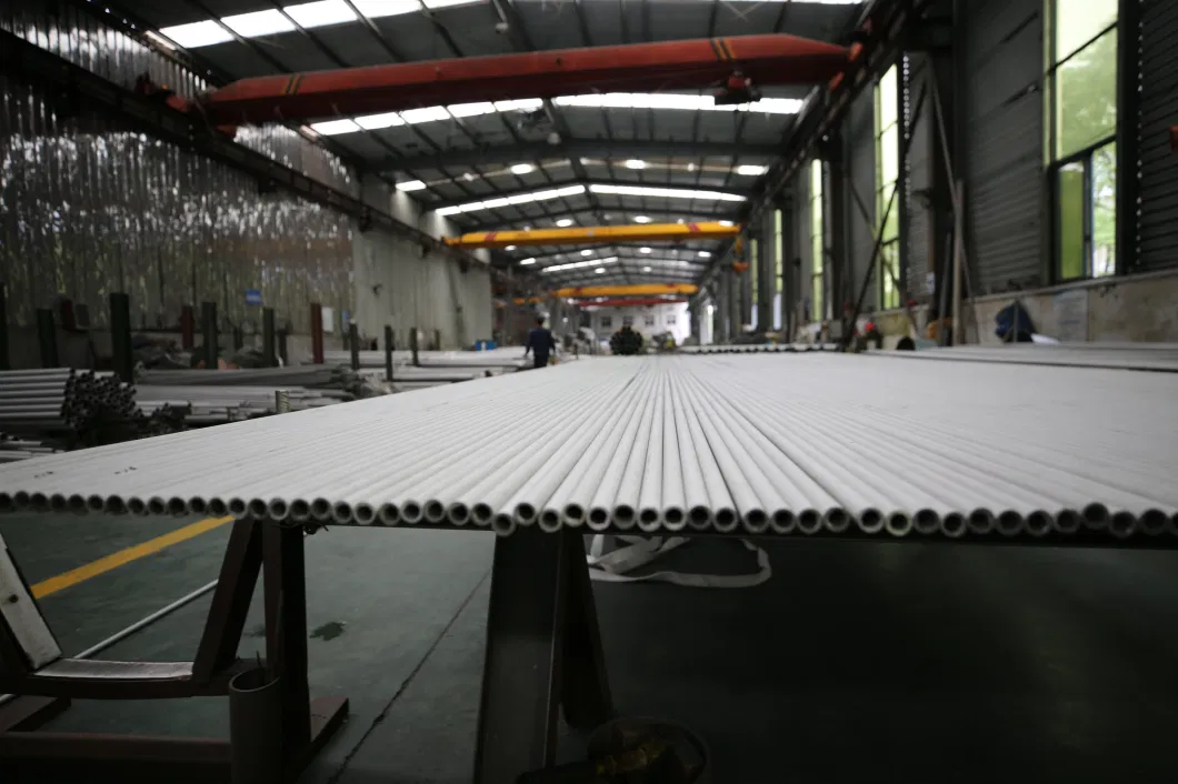 Tp321h Seamless Stainless Steel Pipe for Expansion Joints