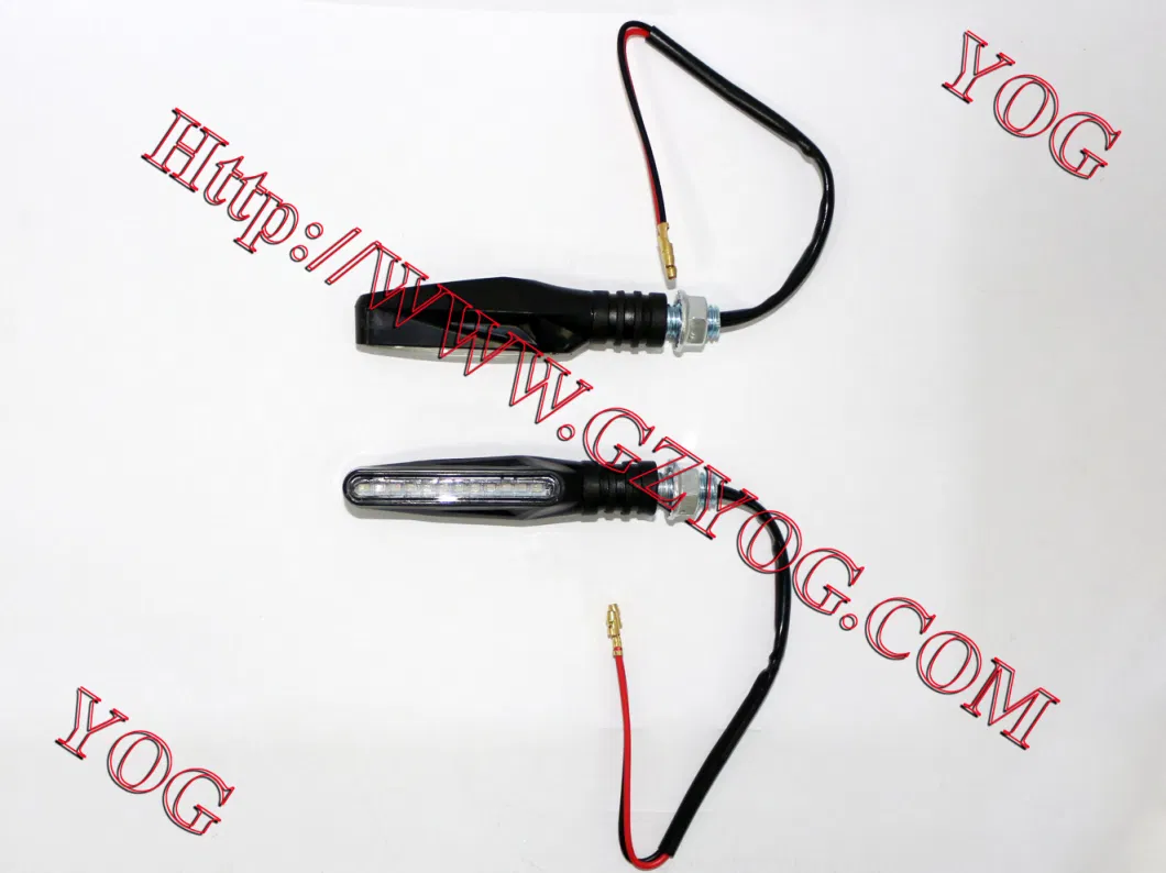 Motorcycle Part Winker Set LED Light