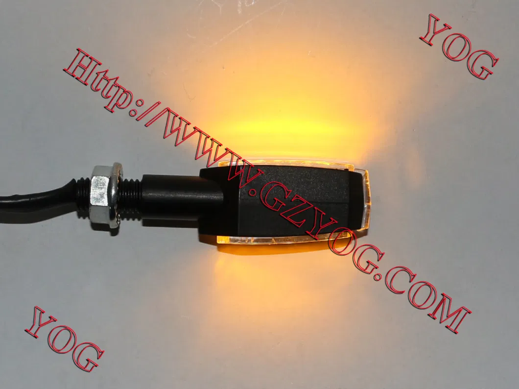 Motorcycle Part Winker Set LED Light