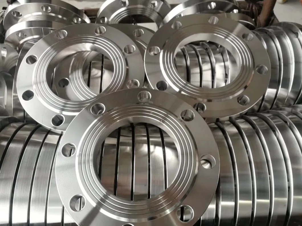 API Forged Stainless Steel Flange