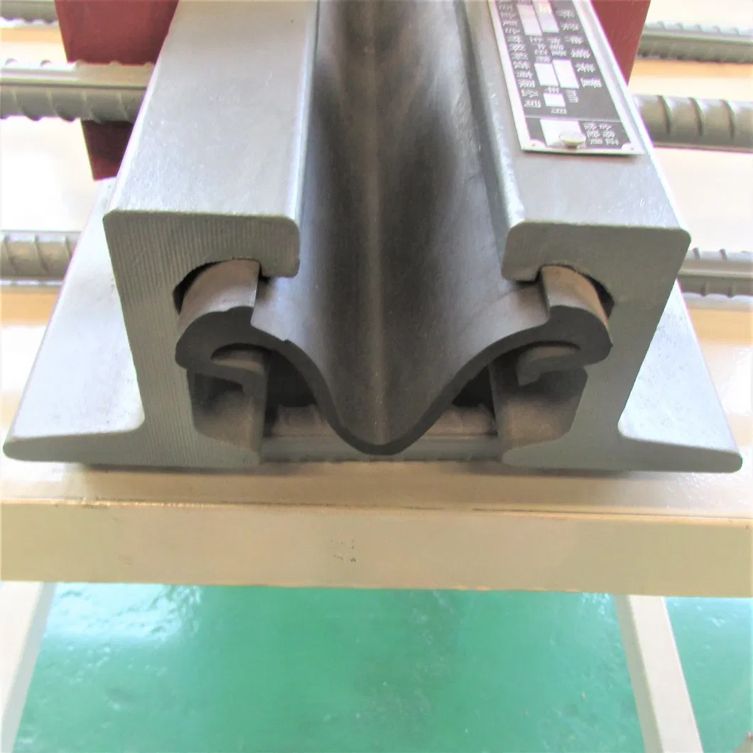 Typec, F, Z, E, Steel Expansion Joint Used for Bridge