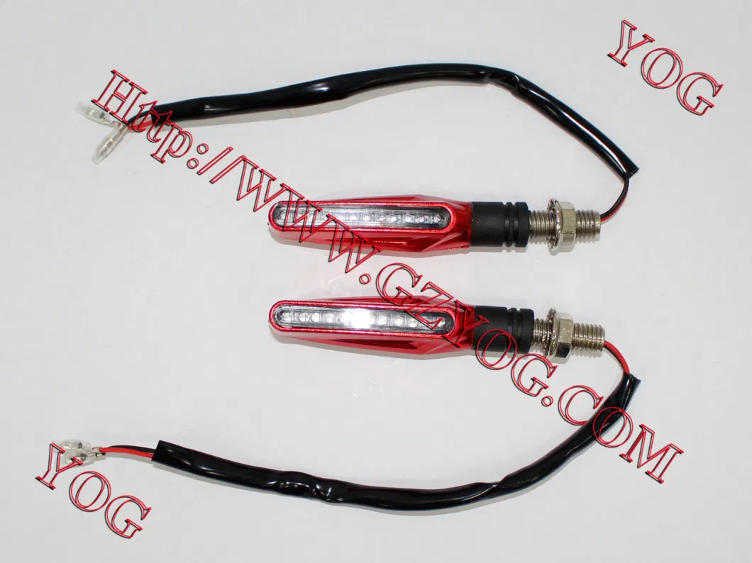 Motorcycle Part Winker Set LED Light