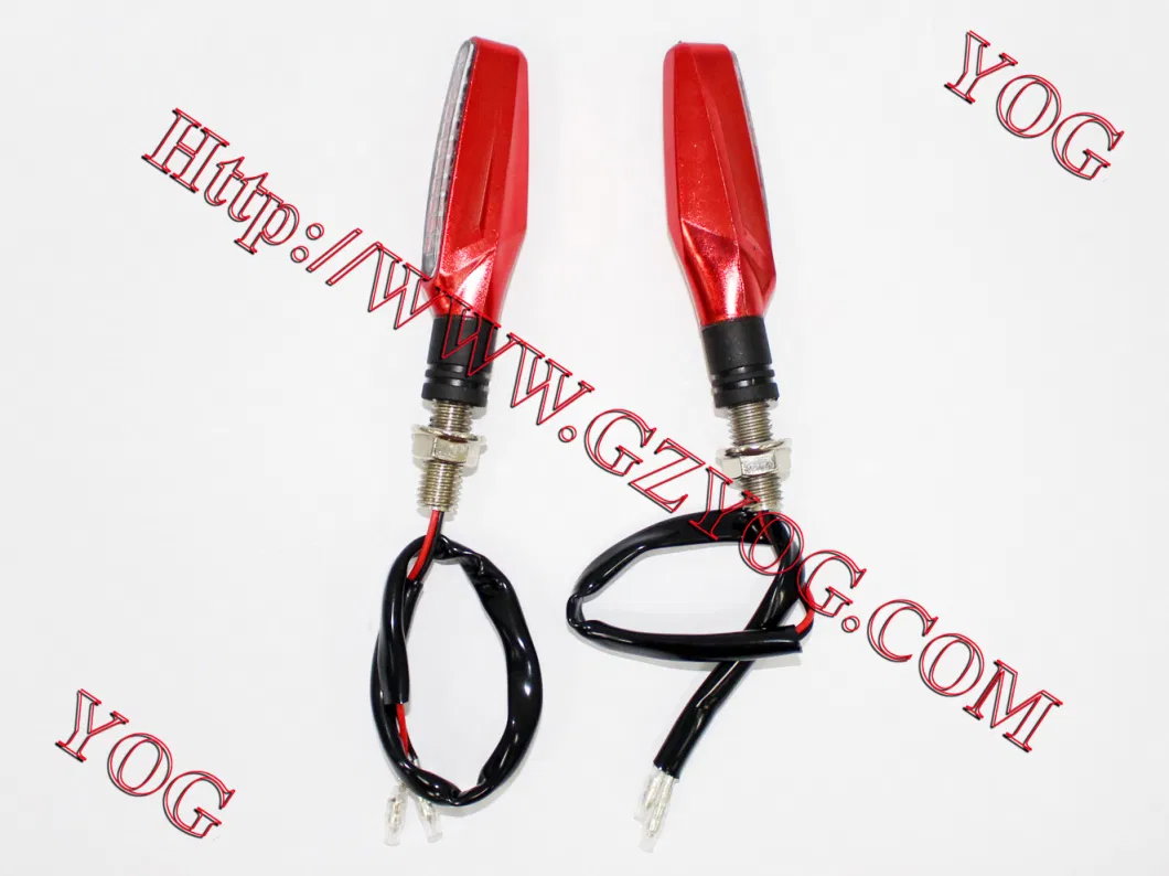 Motorcycle Part Winker Set LED Light