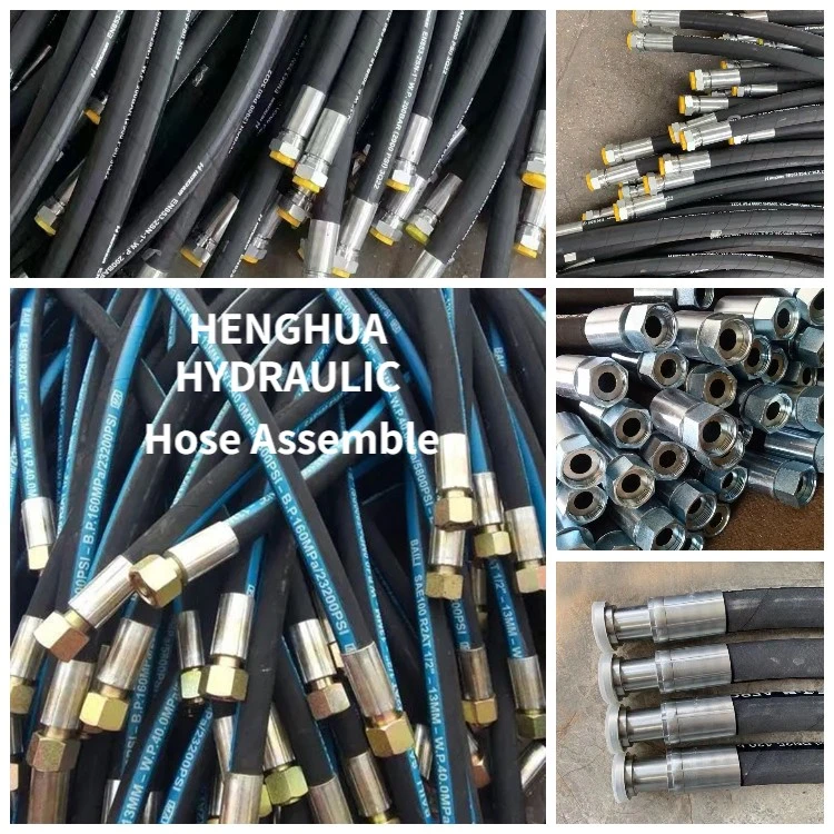 Heavy Machinery Hydraulic Hose Assembly Hoses and Fittings with Pressure Gauge