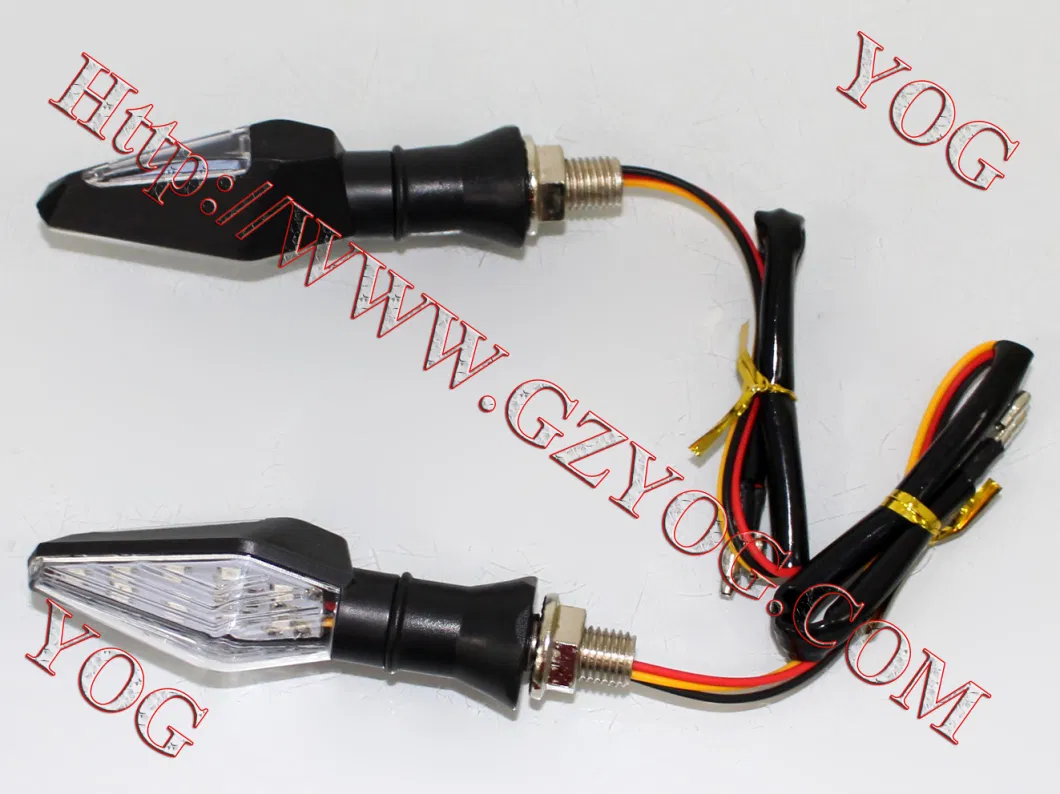 Motorcycle Part Winker Set LED Light