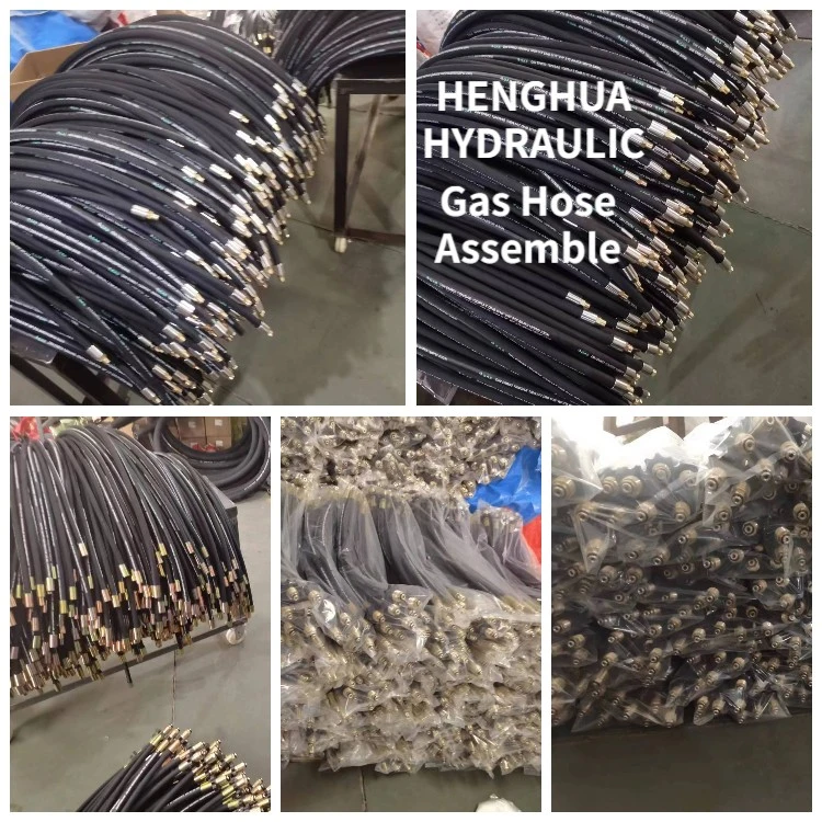 Heavy Machinery Hydraulic Hose Assembly Hoses and Fittings with Pressure Gauge