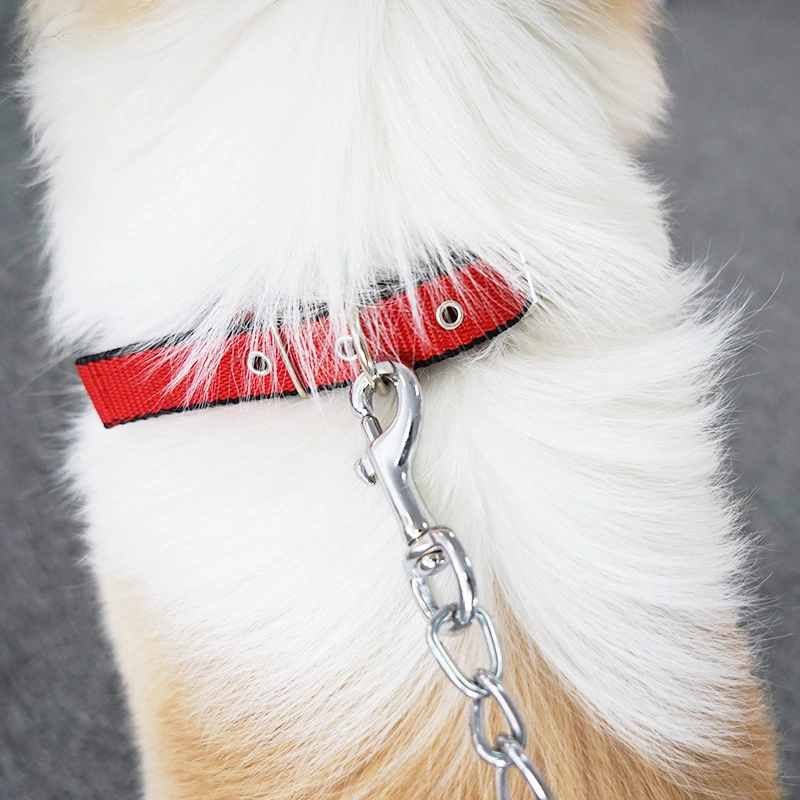 Dog Leash Pet Large and Medium-Sized Small Dog Chain