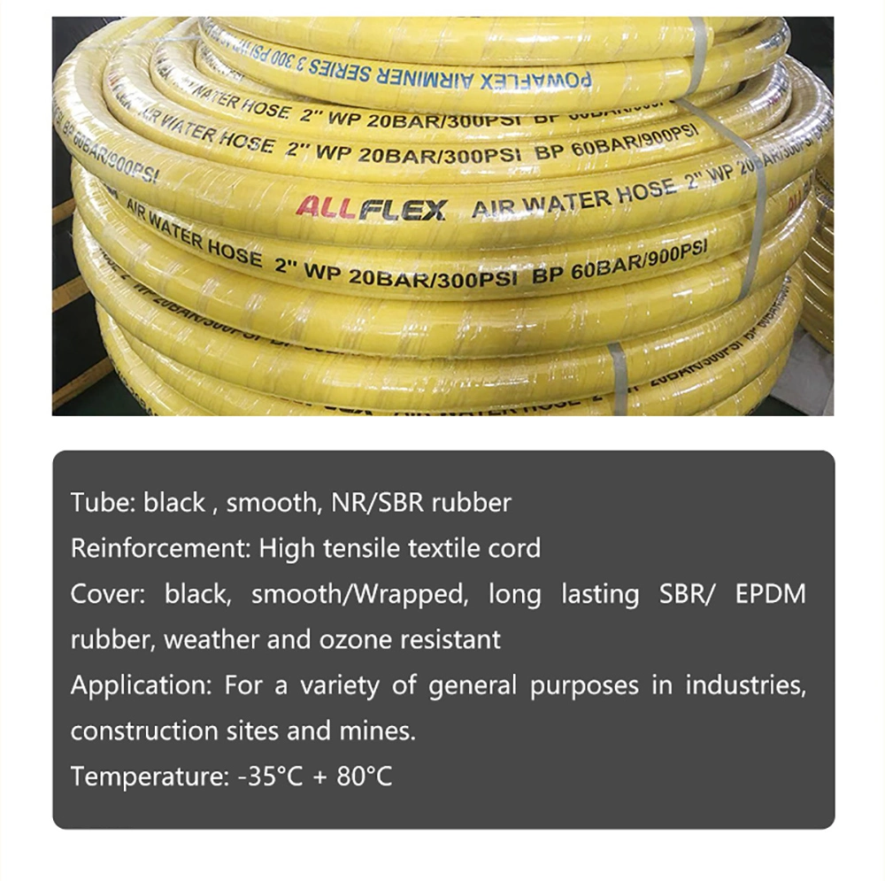 Rubber Diesel Flexible Oil Resistant Petrol Air Oil Water Gas Fuel Pump Hose for Fuel