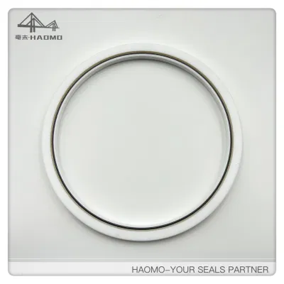  Sello Rotary Generic Seal, Pan Seal, Shaft Seal, PTFE, Custom Pan Seal