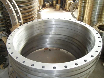 Brida de acero inoxidable Inconel 617