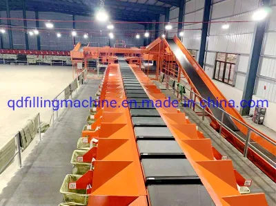  Clasificadora rotativa lineal de equipos de la línea recta de la rueda de equilibrio del sistema