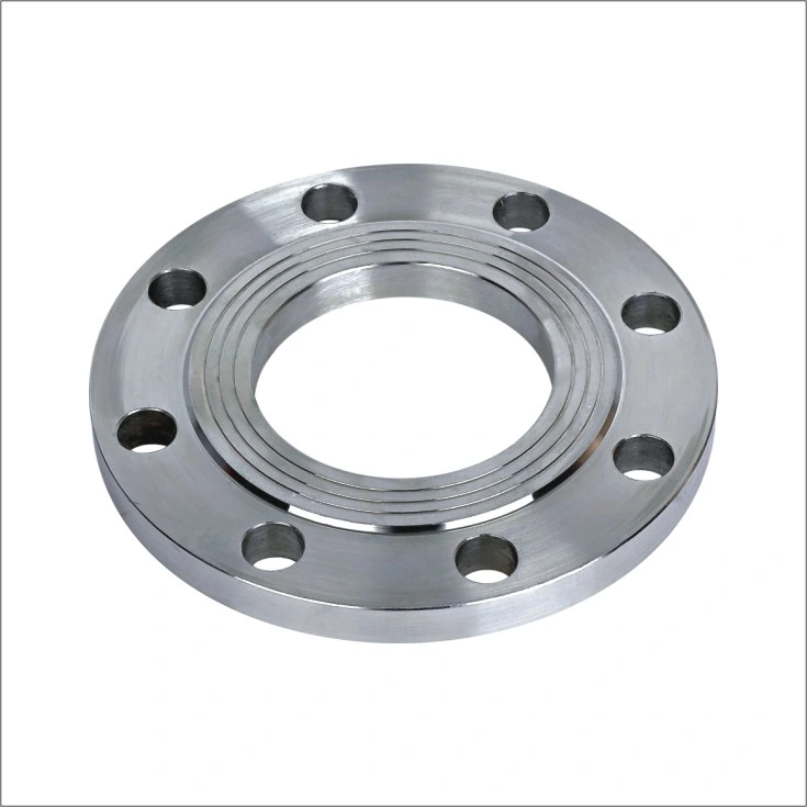 Pipe Fitting Class 150 300 600 900 Stainless Steel Flange