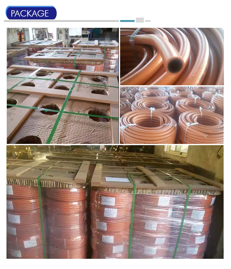 Flexible Gas Hose PVC Natural Gas Liquefied Gas Special Hose