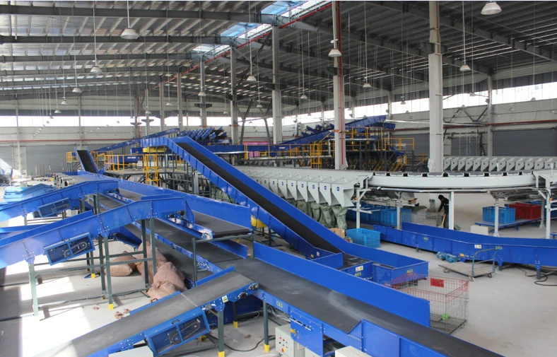 Linear Rotary Sorter Straight Line Equipment System Packing Line