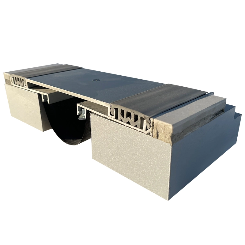 Professional Standard Expansion Joint Types for Project