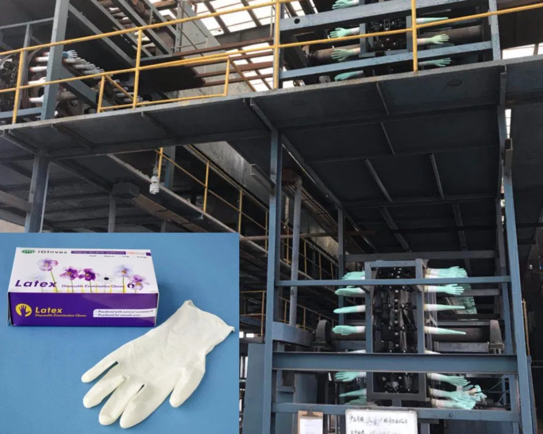 Blx Horizontal Rubber Oil Seals Making Machine Glove Production Line