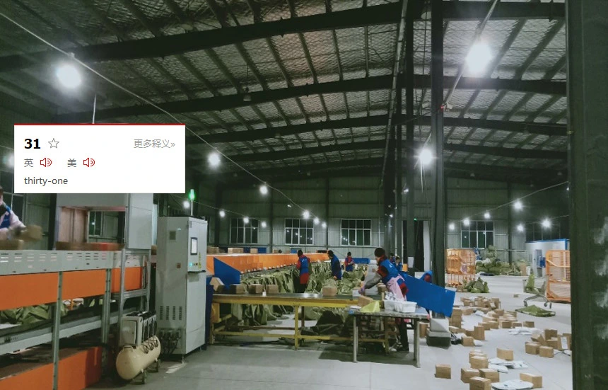 Linear Rotary Sorter Straight Line Equipment System Packing Line