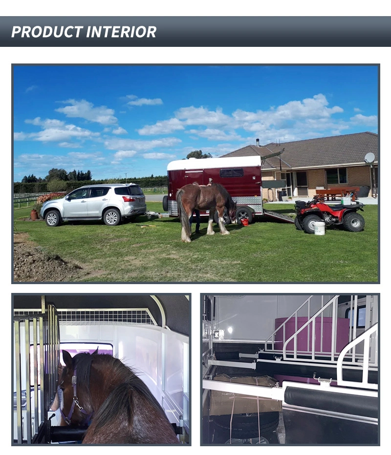 Assemblable Australian Standard Horse Float Traile Hose Transport Two Horses Straight Load Deluxe for Sale