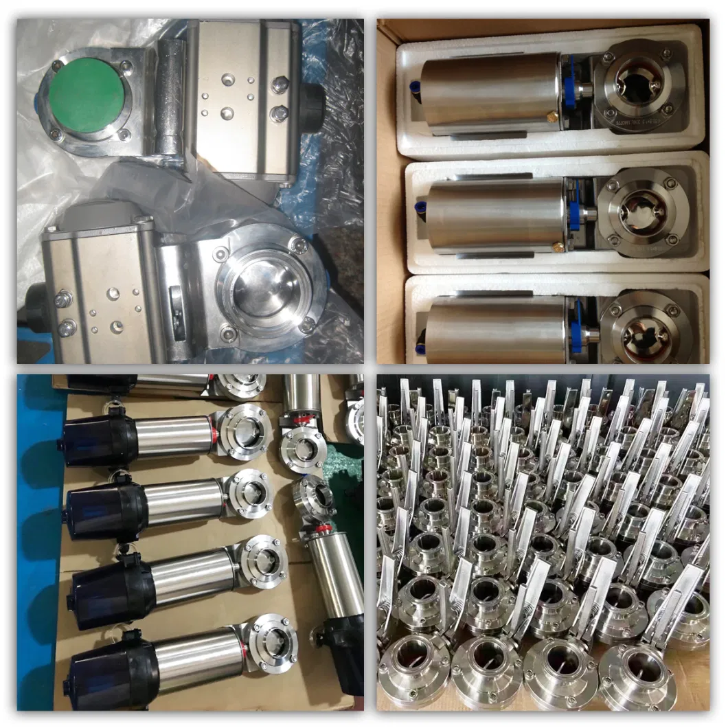 Stainless Steel Sanitary Plastic Handle Butterfly Valve (Jn-BV1001)