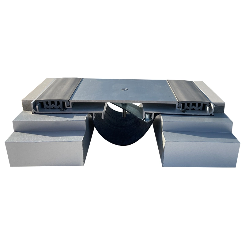 Professional Standard Expansion Joint Types for Project