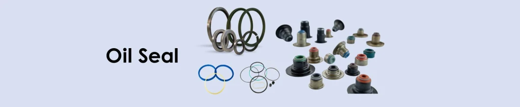 Nitrile EPDM Silicone Rubber Hydraulic Pump Crankshaft O Rings Mechanical Oil Seals