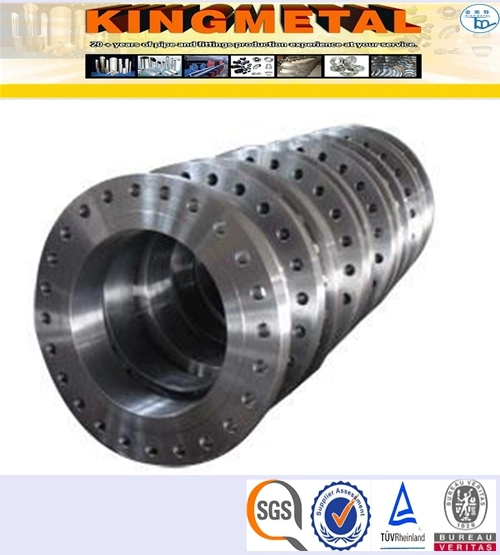 Plate Steel Flange Stainless Steel Flange Wholesale Pipe Fitting Flange