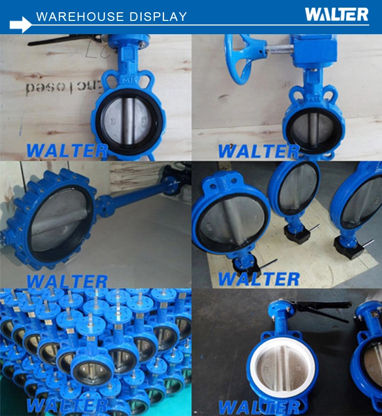 Gear Wafer Type Butterfly Valve