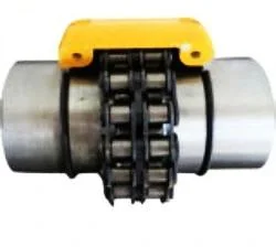 Wj Type Spherical Roller Coupling for Reels Flexible Couplings Chain Coupling for Rigid Connection