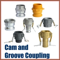 Nylon Injection Moulding Bpt Thread Cam and Groove Couplings