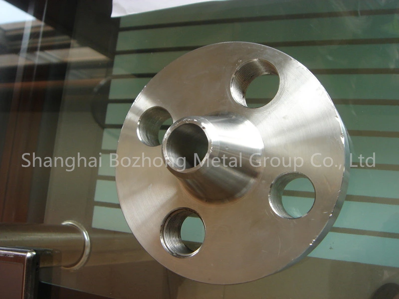 Stainless Steel Flange