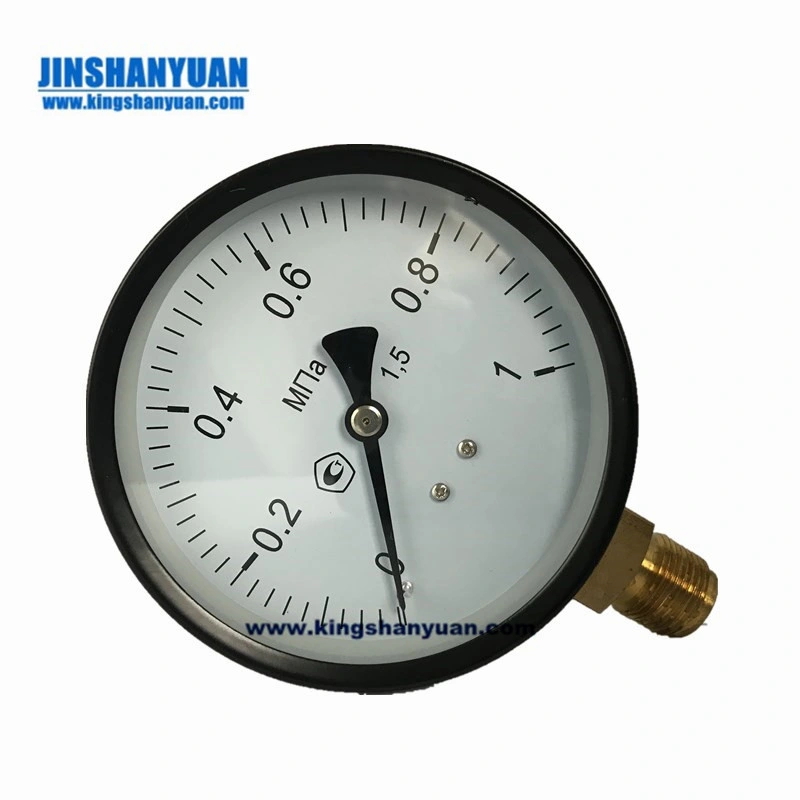 Deluxe Brass Tire Pressure Gauge Rotating Hose Psi