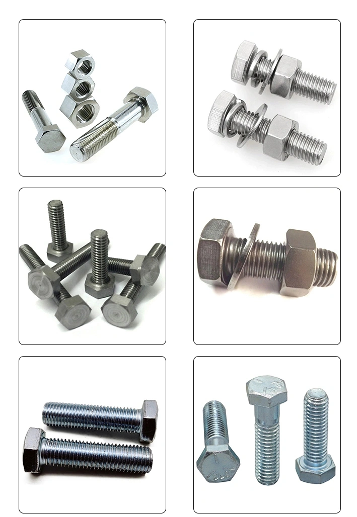 Hexagon Bolt Cap Screws &amp; Heavy Duty/Flanges/Flanges/Carriage/Studs/Rail Bolt Nuts