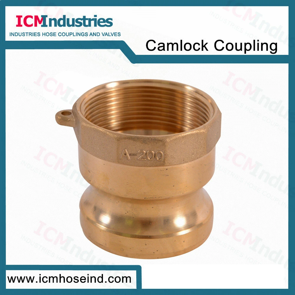 Brass Type B Camlock Hose Coupling