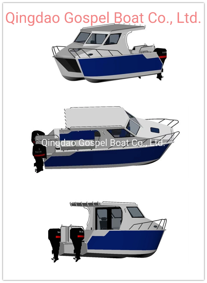 7.9m Aluminum Catamaran RC Gas Boat Twins Hull