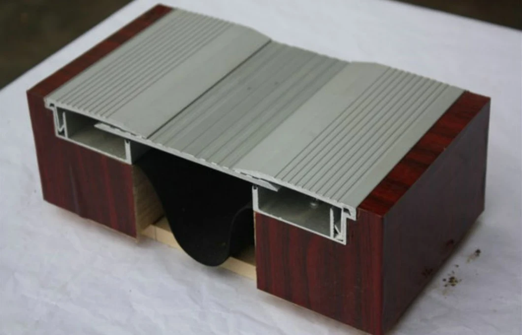 Aluminum Building Expansion Joint for Floor and Wall