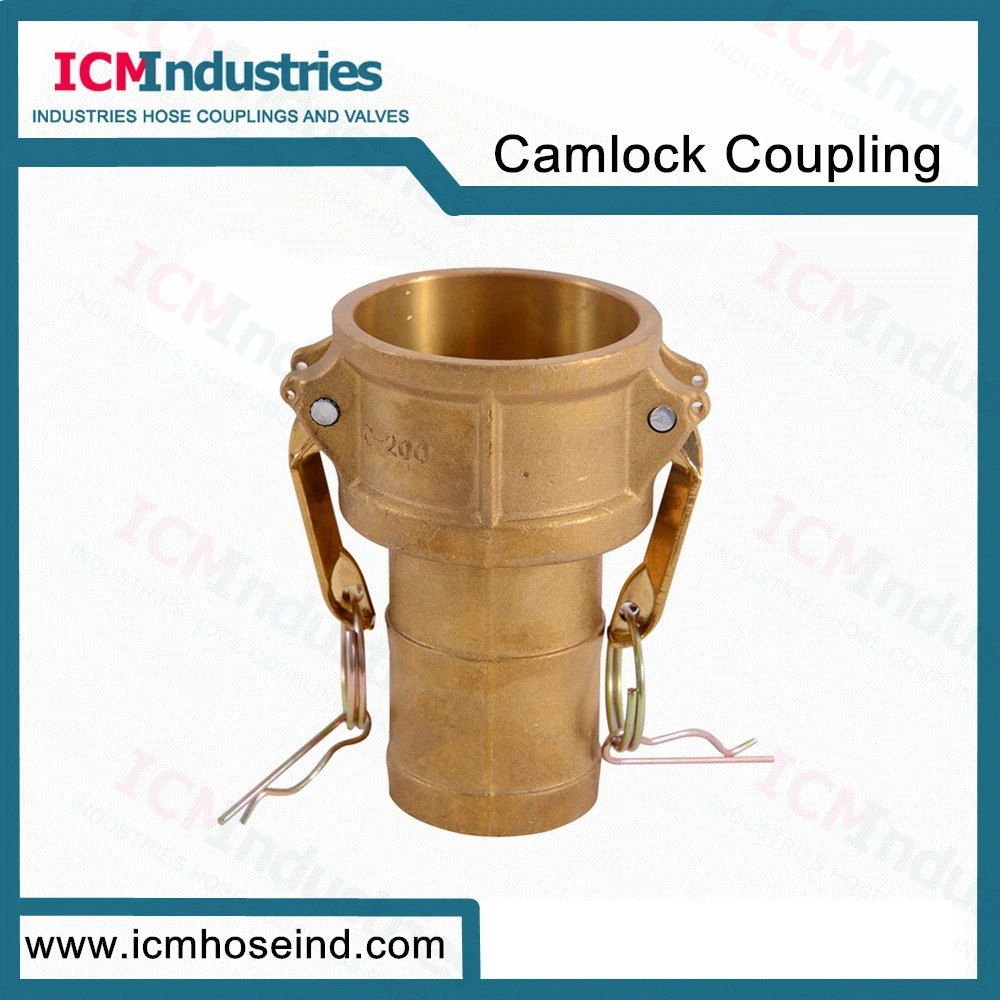 Brass Type B Camlock Hose Coupling