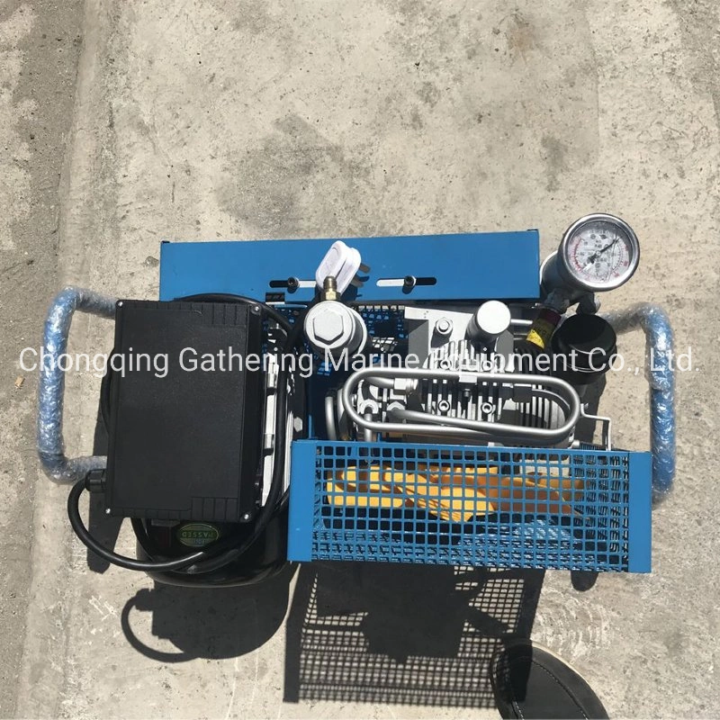 300 Bar Electric Air Compressor Air Breathing Apparatus Inflator Pump for Scba
