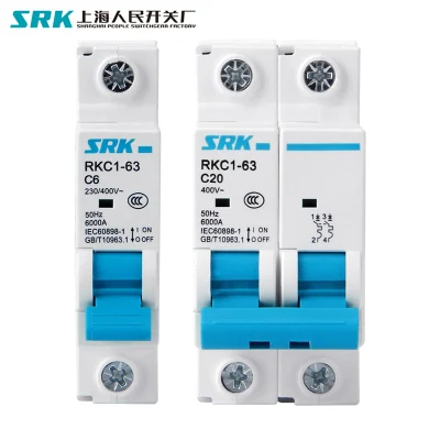 5 Year Warranty Factory Price 4.5ka 6ka 380V 400V 415V 50Hz 60Hz 2 Poles Dp 10 AMP MCB 2p 10A