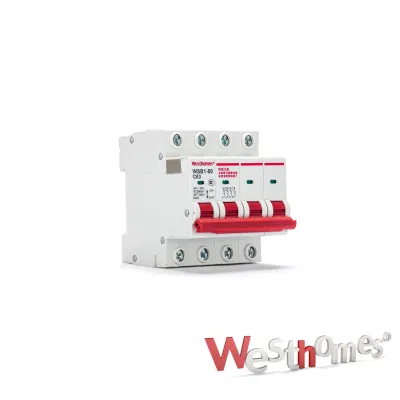 ODM/OEM Wsb1 Miniature Circuit Breaker 1p 2p 3p 4p 6A 16A 20A 40A 63A 80A AC 230V/400V MCB