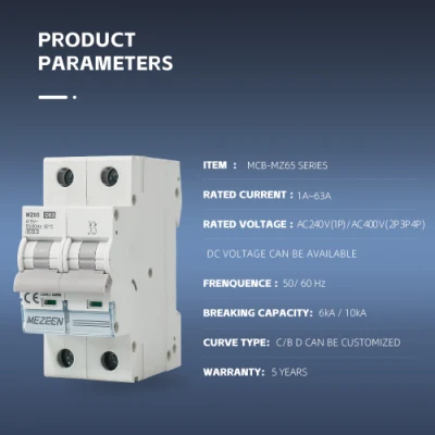 Miniature Circuit Breaker MCB Electrical Safety 6ka 400V 2p 10A Mini AC Dp Circuit Breaker