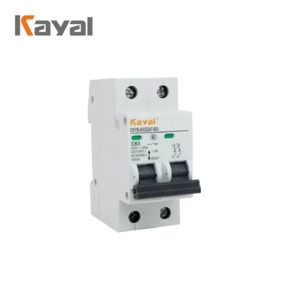 Free Sample! C45 100A 4p AC Current Circuit Breaker MCB Disyuntor