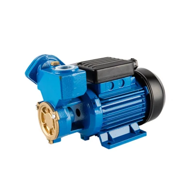 Single Phase Peropheral Pumps 100%Copper Wire dB Domestic Water Pump