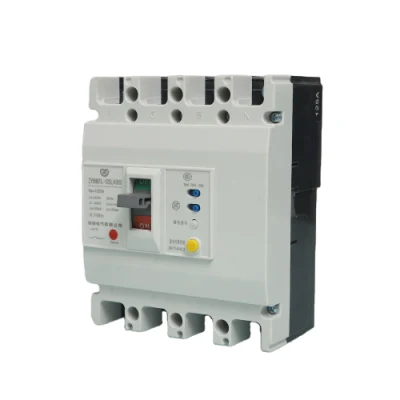 Four Poles 250 Silver Point Air Switch with Leakage Protector RCCB